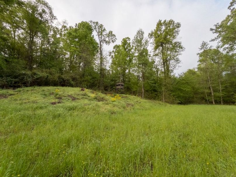 Claiborne Co-314-Fernandez-86