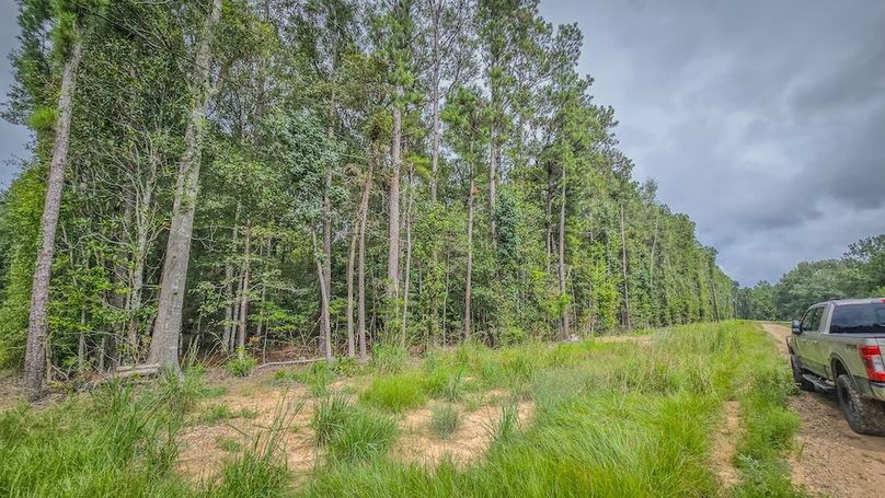 Copy of 20240905_144912