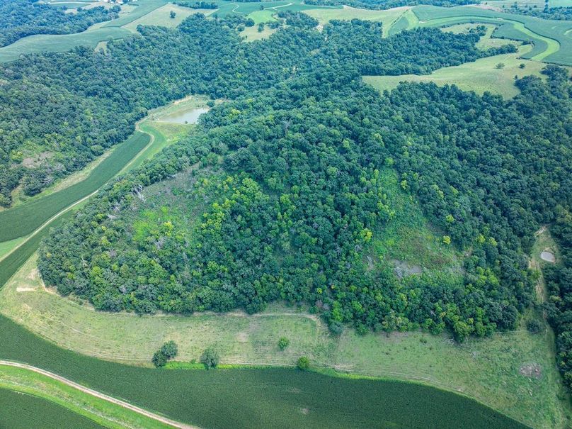 New Albin 8_8 edits-60