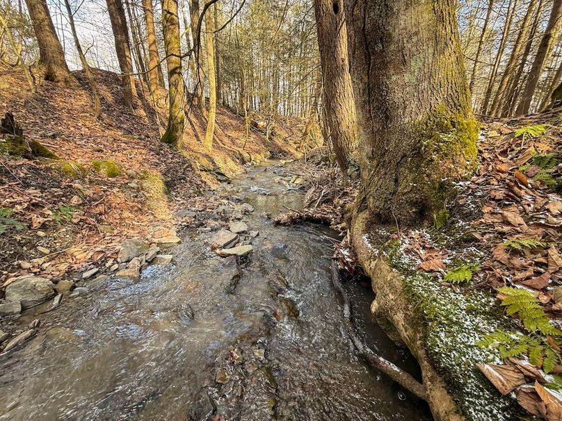 Chemung_59.65_Kocsis_photos_29