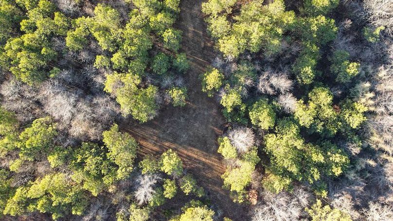 DJI_0826