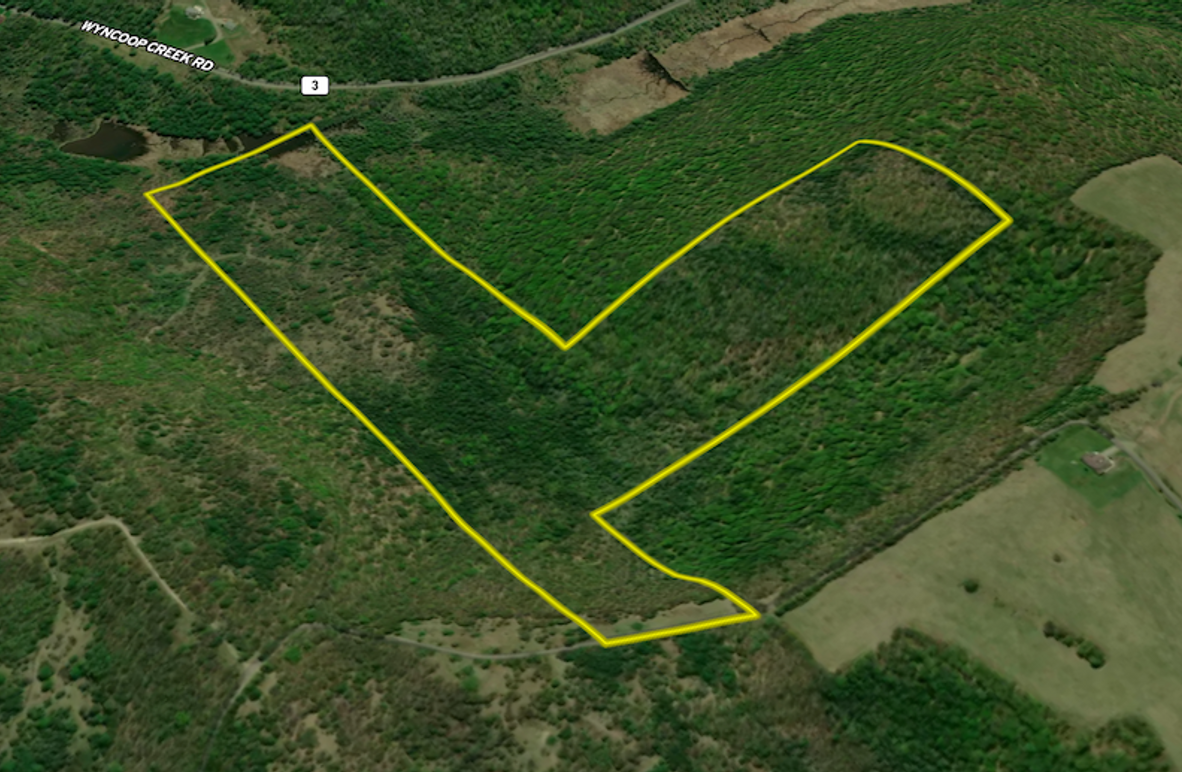 Chemung_78.26_Gutchess_Lumber_Landid_1