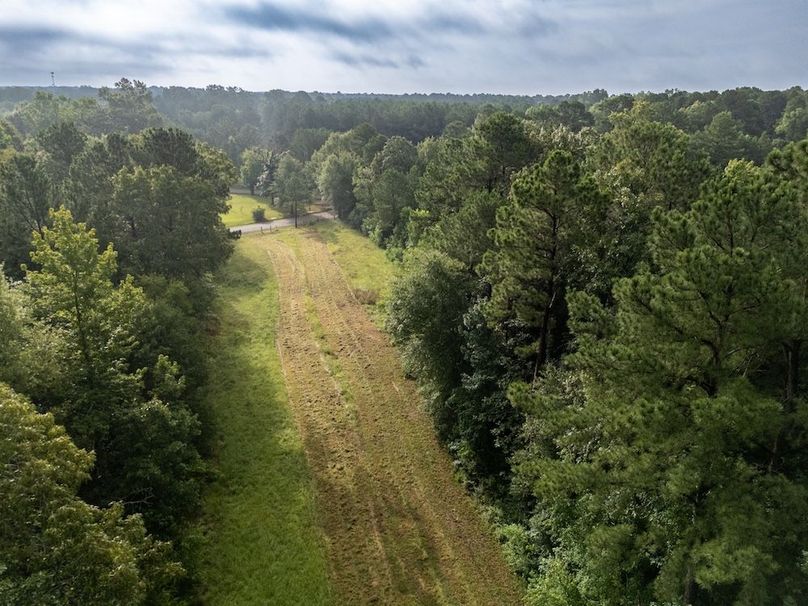 13 Panola Co. 40ac - Rouse-28