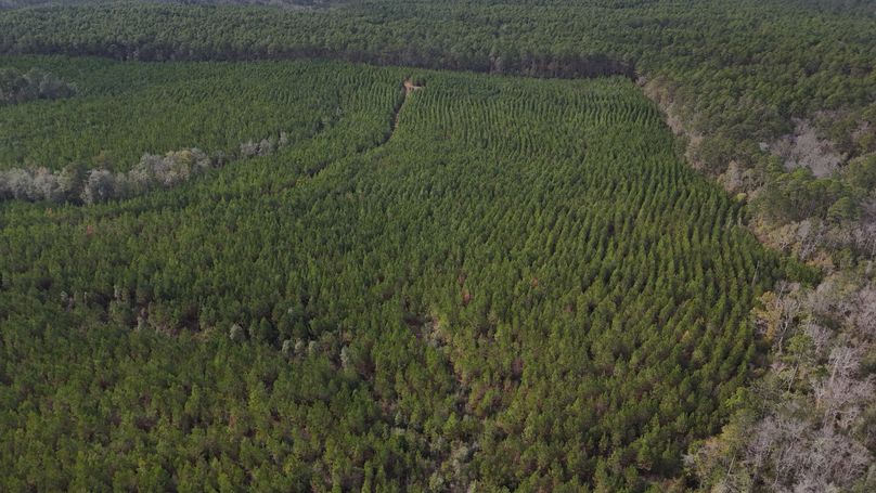 DJI_20231214123744_0012_D