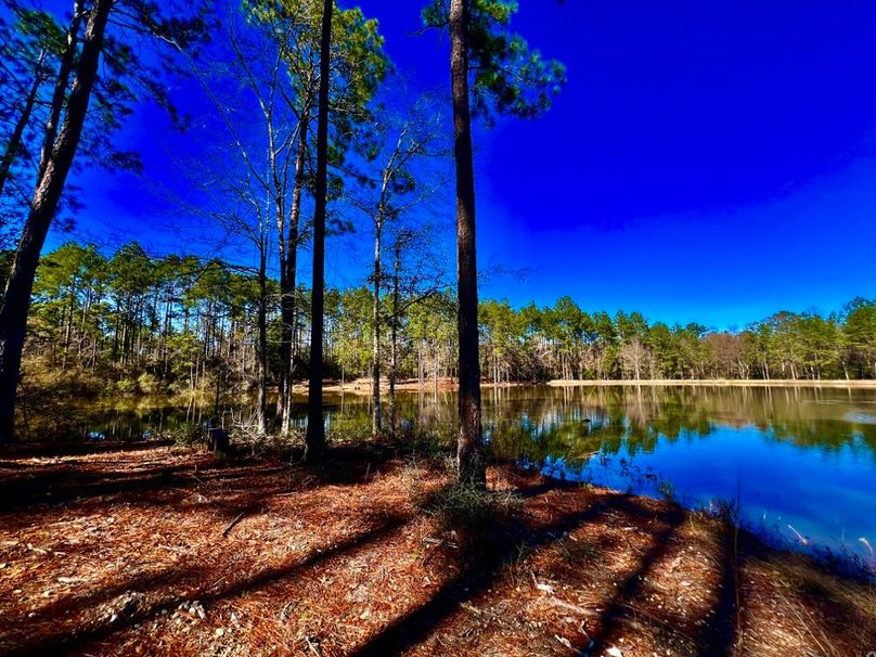 ED4C26EB-9204-41D0-B876-50370A333EB7_1_201_a