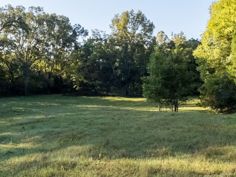 Hinds Co - 30 - Newman-13