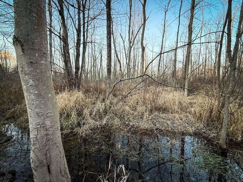 Wayne_29.09_BD_LandNorth_Parcel_23