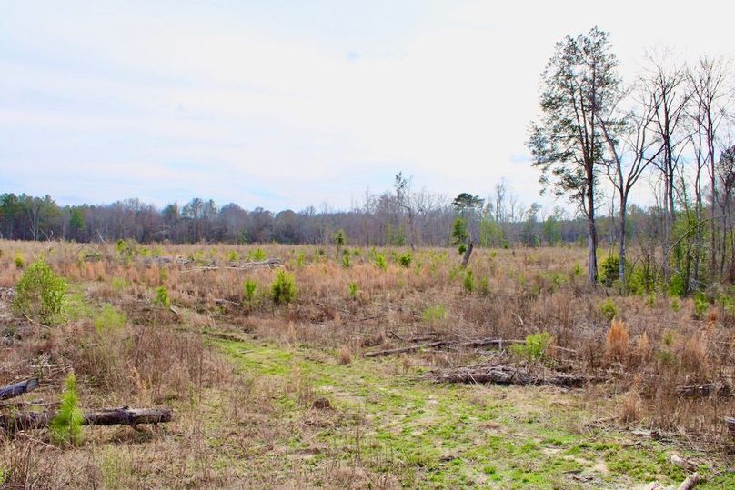 610292B3-1049-4C2B-B42A-8D0DA46F5653_1_201_a