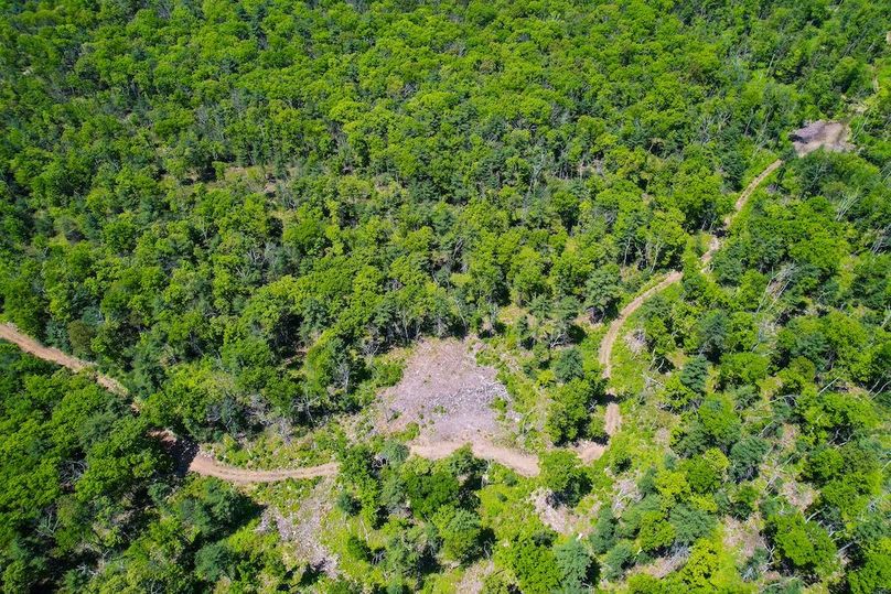 dji_fly_20250512_130834_984_1747069820880_photo