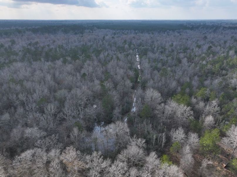 dji_fly_20260212_135548_0031_1771284252708_photo