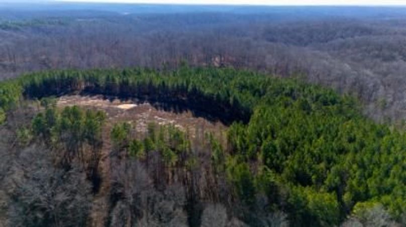 MCKINNON TRACT 29-17