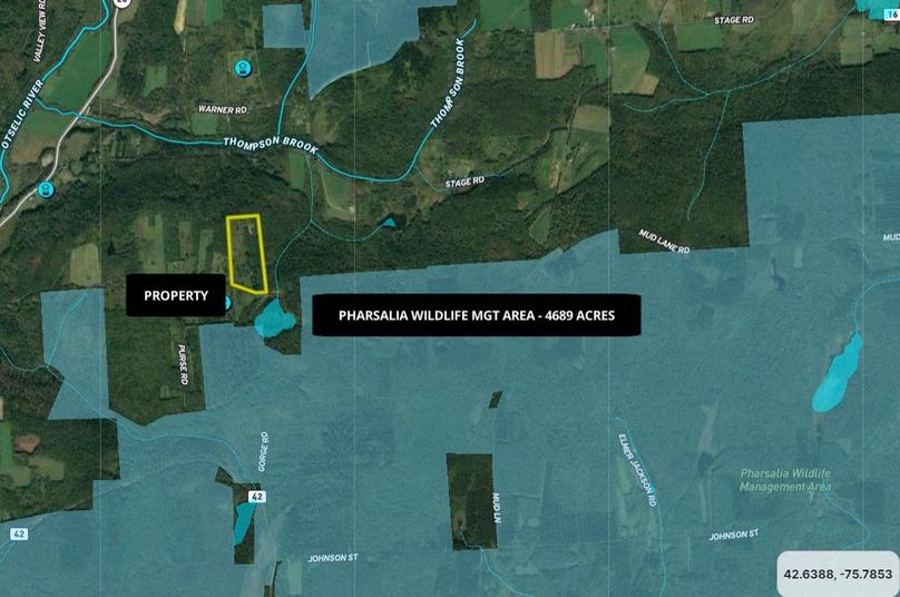 Chenango 29.77 Konsuvo Wide Area