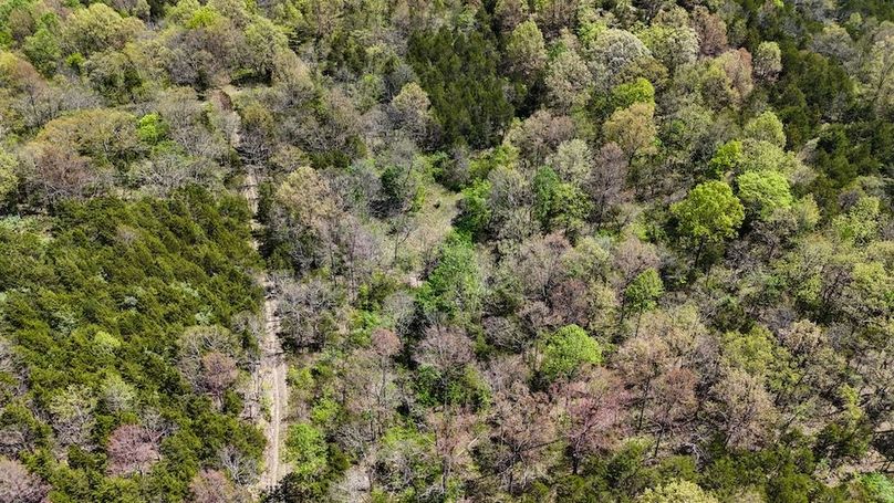 DJI_20250428131652_0475_D