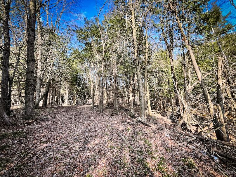 StLawrence_142.7_Bosse_Photos_55