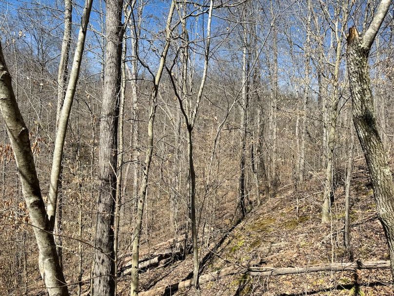 016 great thick bedding cover