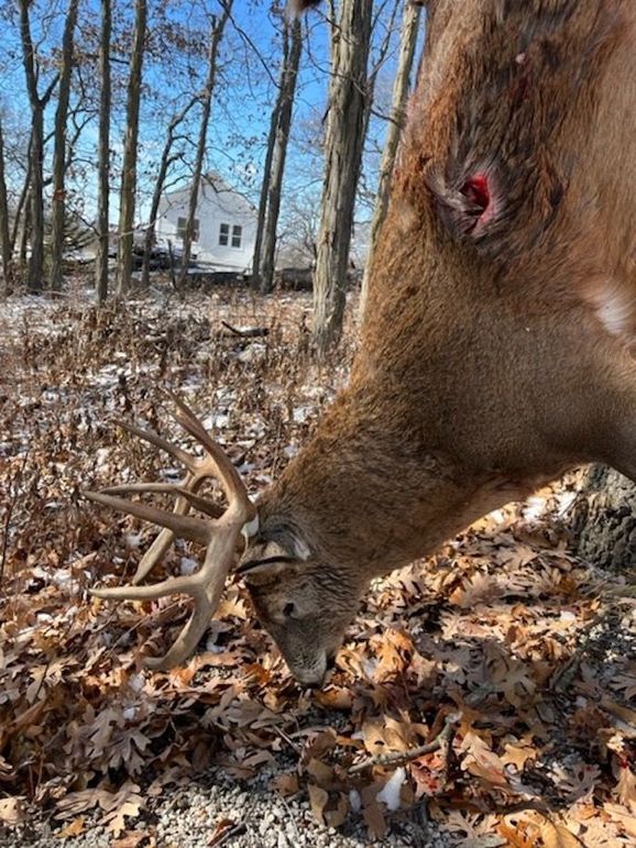 69048520057__77635FAB-98A5-41BF-9380-8DB78B359B30