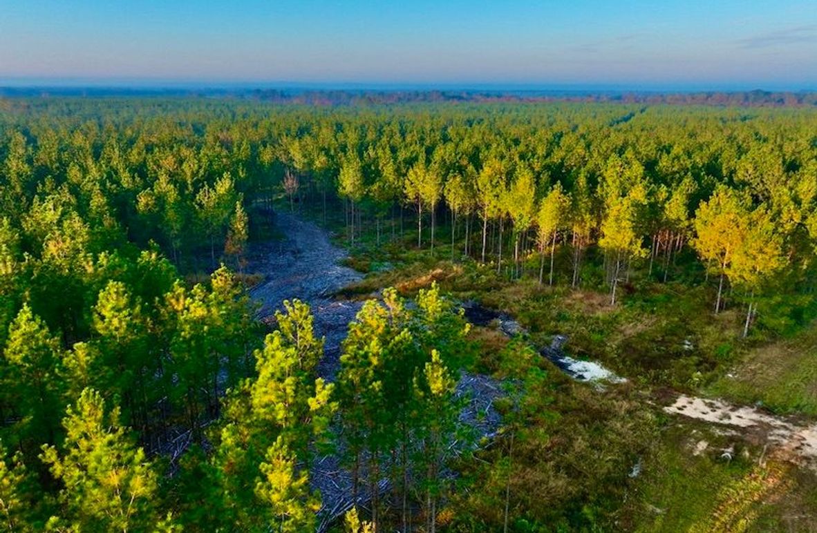 8FF16AD2-CCD7-4BE4-82F7-E0C8F05F890E_1_105_c