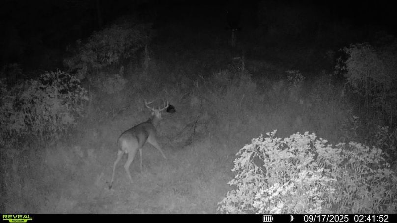 016578004184187-100-3-09172025024152-SYFW04136