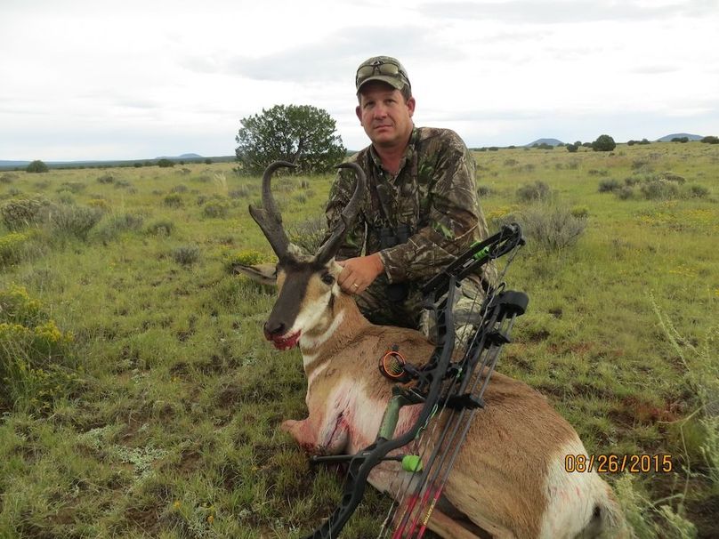 Pronghorn buck harvest 2