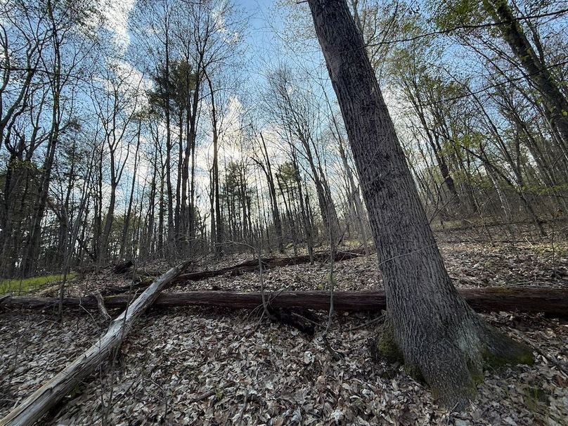 Chemung_59.8_Currier_photos_32