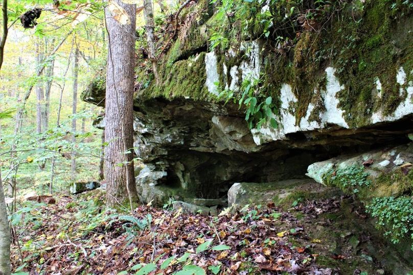 040 cool moss covered sandstone face 