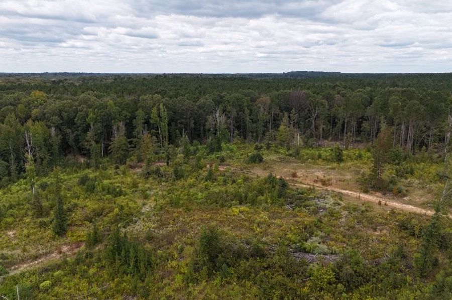 DJI_20240930030747_0122_D