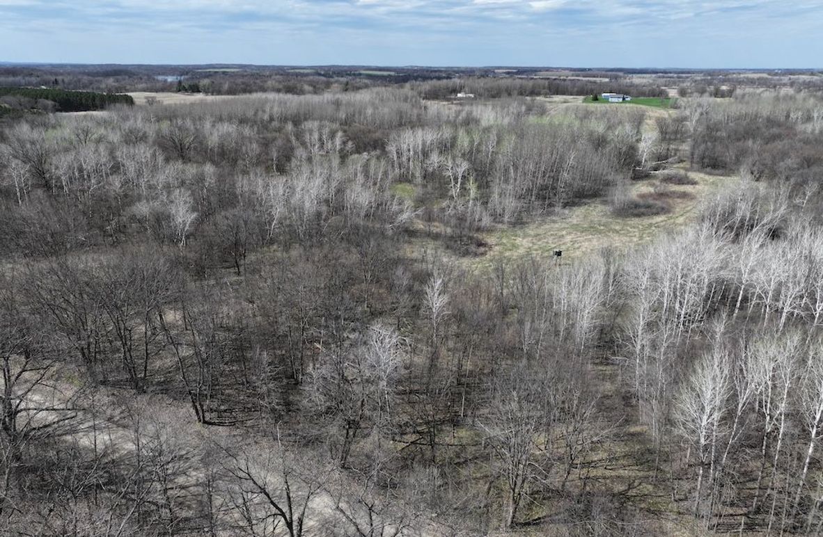 dji_fly_20250430_160636_0509_1746048118281_photo