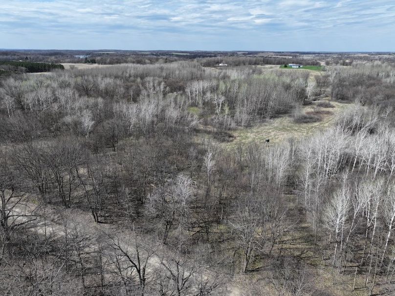 dji_fly_20250430_160636_0509_1746048118281_photo