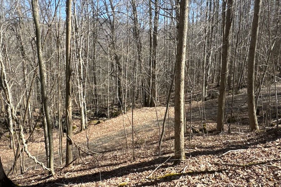 06 Property Picture
