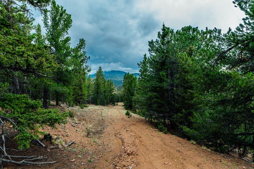 Teller 11.75 - 0001 driveway