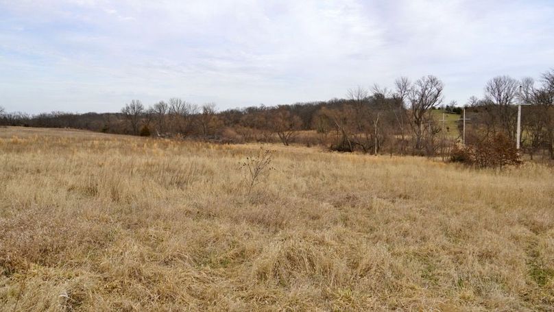DSC04014