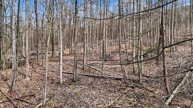 DJI_20260403152014_0066_D