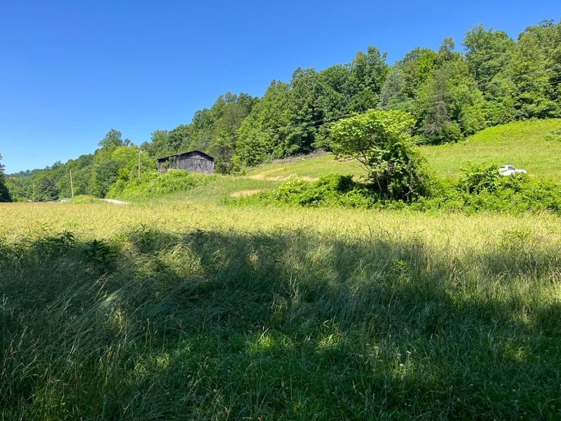 021 view from under the shade trees looking back up to the home and barn-2