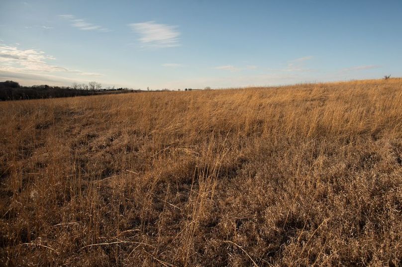 MONTGOMERY CO IA 156.78_8