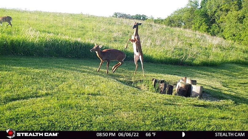 2 Young Bucks Fighting June 2022
