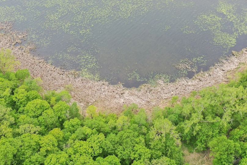 DJI_0331