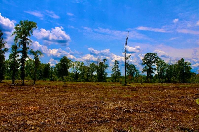 1990EF68-0FA4-4CF5-9319-A2F10D2F3A55_1_105_c