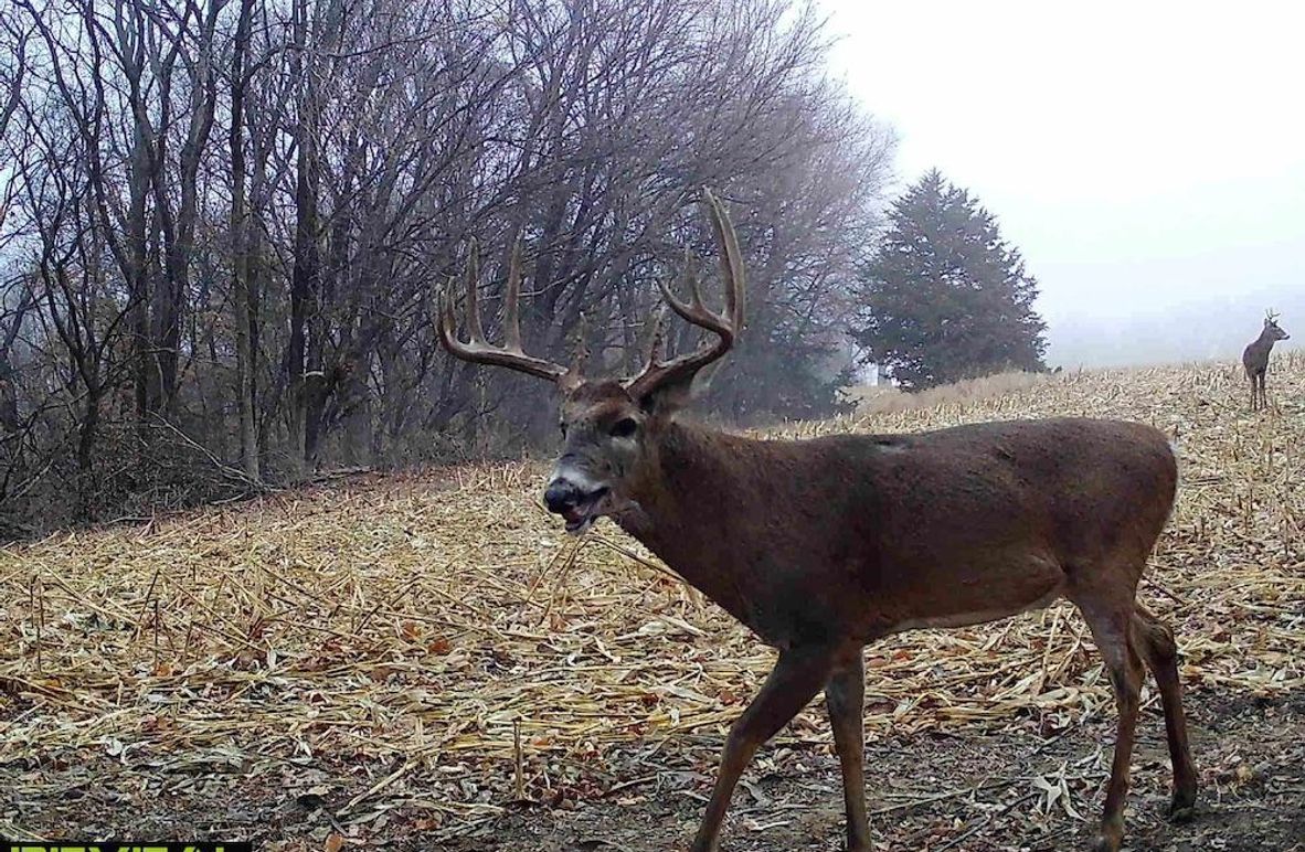 FREMONT CO IA 159.05_2