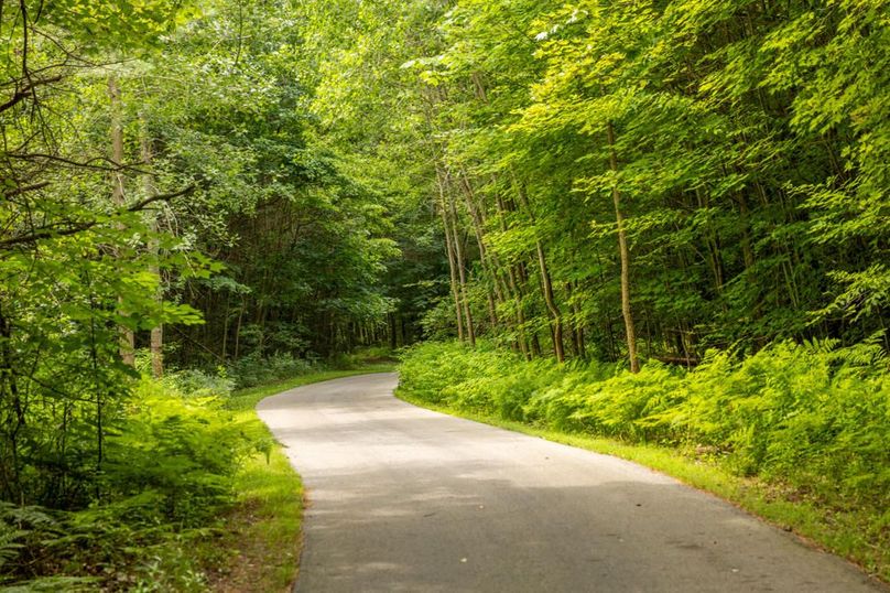 112 Long Drive Through The Trees