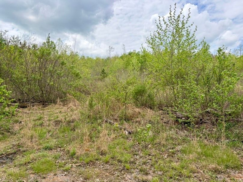 F7462D25-14FF-470A-9BAB-0B016C077C50_1_105_c-2