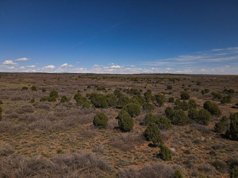 DJI_0021