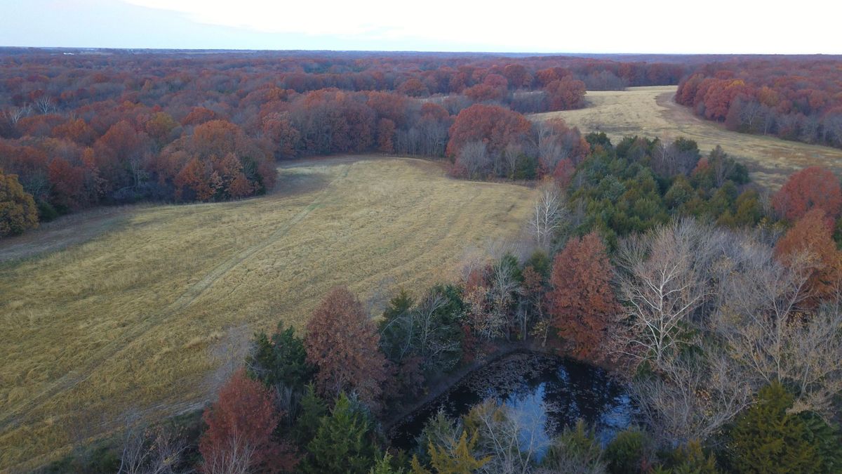 Picturesque Recreation Haven Near Mark Twain Lake Whitetail Properties
