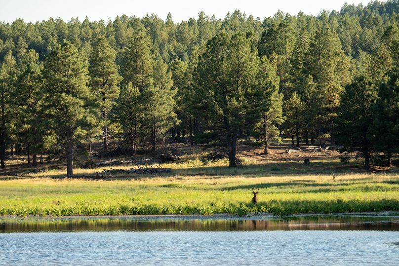 Cibola NM 13,053-7209