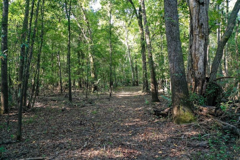 11 Leon Co. 117ac-07