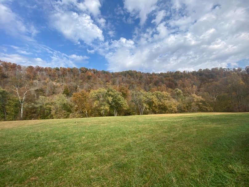 009 gorgeous open bottom land looking back towards the gated entrance