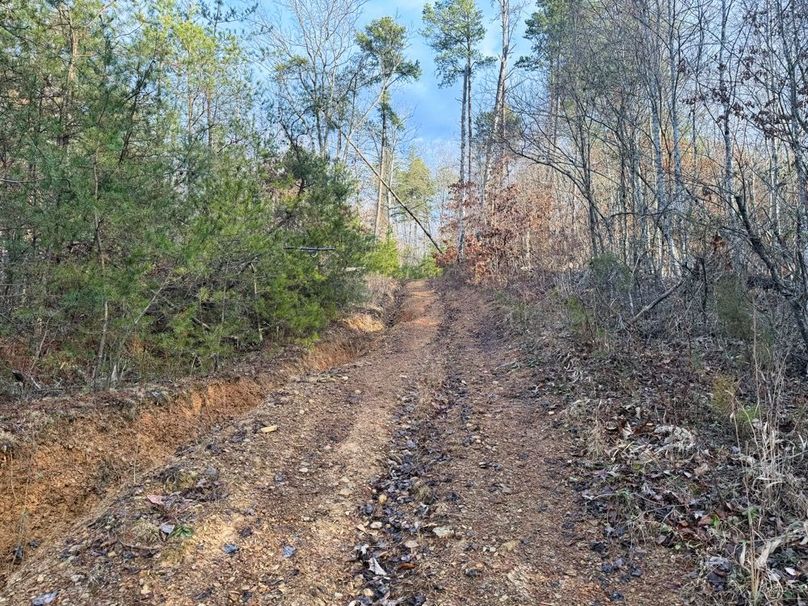 015 another nice view of the trail leading to the flat-2