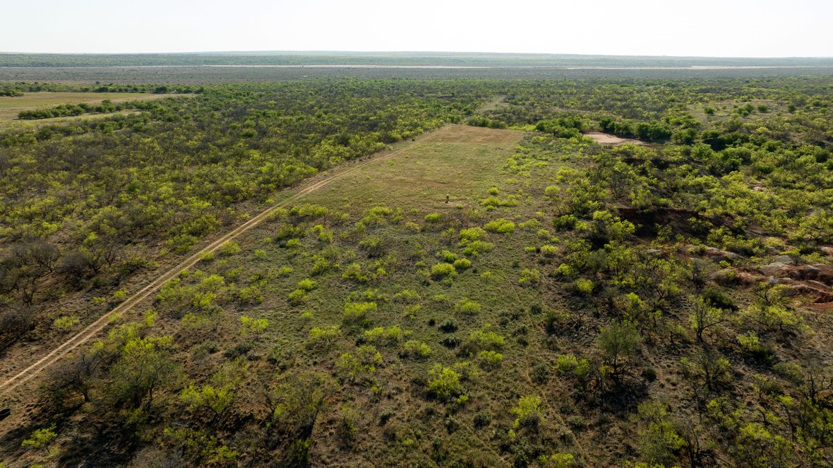 Great Hunting Tract With Agricultural Opportunities Whitetail