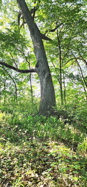 382337343_2932756306858670_2680182754514774150_n