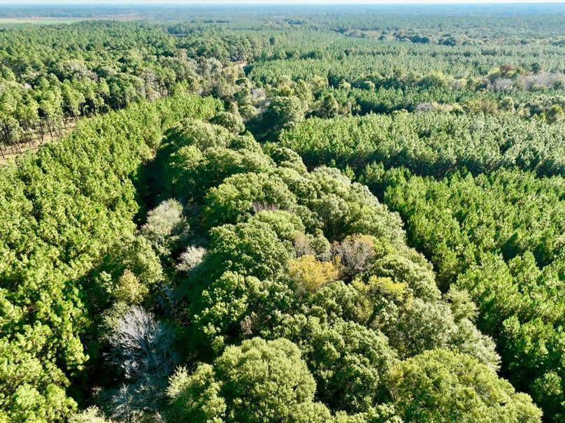 dji_fly_20251031_101008_993_1761919964986_photo