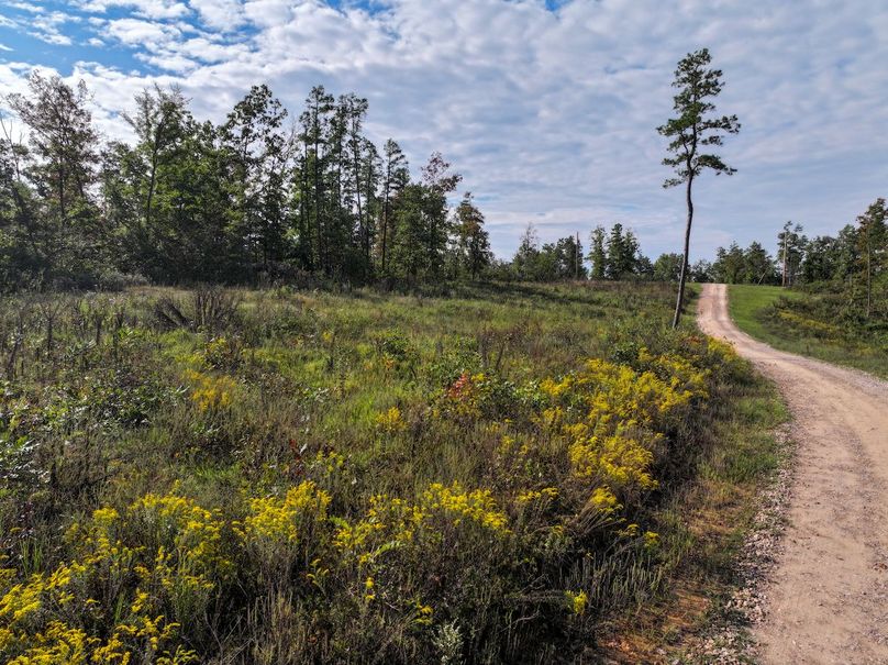 DJI_20250925100650_0709_D